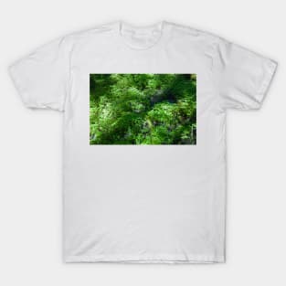 Fen Fractal T-Shirt